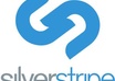 make cms based website for you