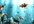 add this magical water effect to your flash banner or photo