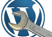 fix all Your WordPress Website Issues,Errors, Bugs