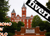 post 40 flyers around Auburn University small1