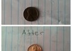 bring a coin back to life