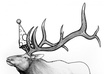 create a realistic ink drawing of anything you like small1