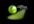 review your website using Camtasia
