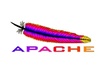 install Ispcp or Aache on your dedicated server or VPS