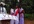 do DOMKACH group dance with old women in the occasion of valentine day