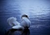stop your anger outbursts in seconds