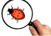 do alpha beta testing of website and recommend better solutions