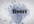 create this Clean and professional grunge logo reveal
