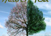 teach you how to heal any health problem