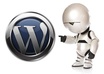 create Great amazon autoblog store integrated with wp robot