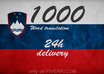 translate 1000 words in 24h from English to Slovenian small1