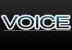 record a professional voiceover for 1 minute