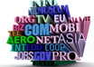 give you 30 professional suggestions for Domain Names