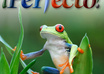 rewrite your webpage content small1