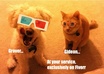 personalize your message on a picture of my dog Grover and cat Gideon