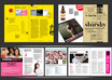 create a professional eBook, from the raw text and images you provide