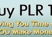 give you over 600,000 high quality PLR ebooks and articles which cover over 900 niche markets