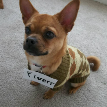 alt_text.html_safe