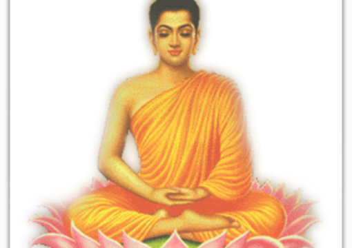 tell you about Meditaion big1
