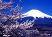 translate up to 200 characters of Japanese to English or German small1