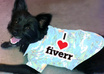put any message on a shirt worn by my dog Cruiser and send you the photo small1