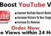 ive you 500 + Youtube Subscribers in Just 24 Hours