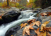 send you 10 pictures from a Bulgarian mountain