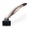 doctor_quill