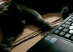 translate your press release from English to Italian small1
