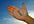 draw, write  your message on a real female hand on a real scene, on express gig, in less than 24 hours