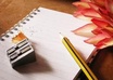 create a 250 to 300 Word SEO Blog Post on Any Topic small1
