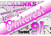 pin 60 images for your niche to 5500+ real pinterest followers in 2 PR4 accounts