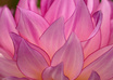 give you 5 ways to clear negative energy from your environment