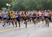 give you a successful 5k training plan