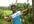 deliver your website,valentine wish,birthday wish or any message playing cricket