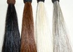 sell you REAL horse hair