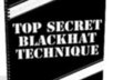 send you the BEST blackhat ebook ever made - this is a new method - no blogs - guaranteed to make 100 dollars a day