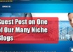 guest post your article on one of my niche blogs