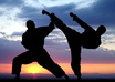 introduce you to Modern Combat Martial Arts