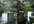 make any two photos you have look stunning