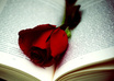 Book_with_rose