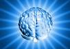 1254880_shiny_brain_