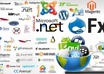 help you program in vb dot net