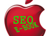 furnish you an ebook for doing on and off page seo of your own and get a high page rank small1