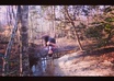 give you the best advist on how to land a frontflip on the ground or trampoline