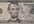graciously accept a TIP for all the hard work I put into your gig