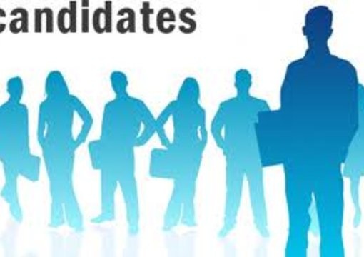 help you choose your president or mayor big1
