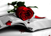 compose a custom little poem
