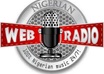create a Radio Station on net with auto DJ