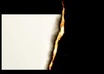 burn you a paper in reverse with your logo on it
